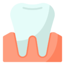 molar