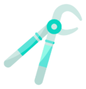forceps