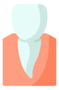 incisor