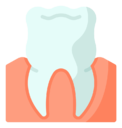 molar