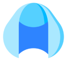 wig