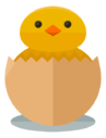 chicken