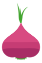 onion