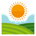 sunny