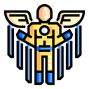 fly