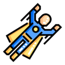 fly