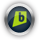 brightkite,small
