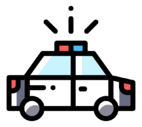 police,car