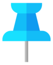 pin