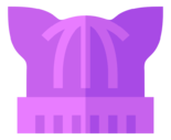 hat