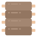 ribs