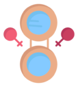 mirror