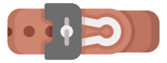 belt