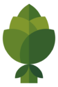 artichoke