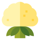 cauliflower