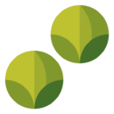 brussels,sprouts