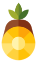 pineapple