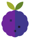 blackberry