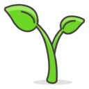 sprout