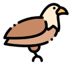 eagle