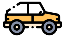 buggy