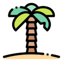 palm,tree