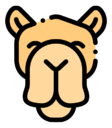 camel