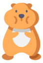 hamster