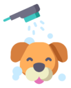 bathing