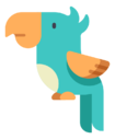 toucan