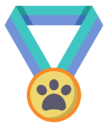medal