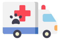 ambulance