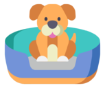 pet,bed