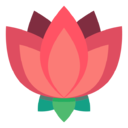 lotus,flower