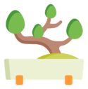 bonsai