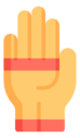 gloves