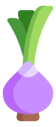 onion