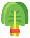 spinach