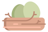 nest