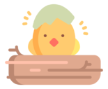 chick