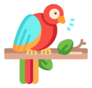 bird