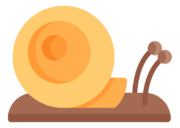 snail