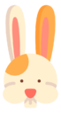 rabbit