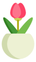 tulip