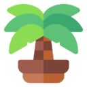 palm,tree