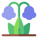 harebell