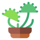 carnivorous,plant