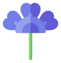 hydrangea