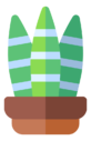 sansevieria,trifasciata