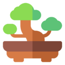 bonsai